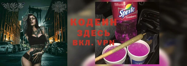 шишки Канск