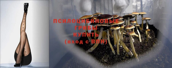 ПСИЛОЦИБИНОВЫЕ ГРИБЫ Горнозаводск