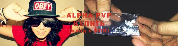 ПСИЛОЦИБИНОВЫЕ ГРИБЫ Горнозаводск