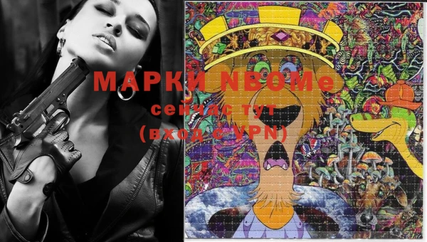бошки Горняк