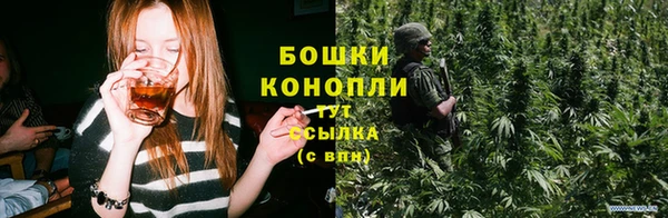 бошки Горняк