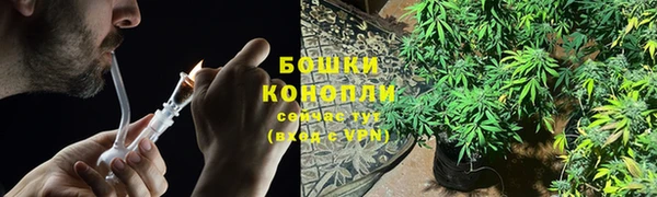 ПСИЛОЦИБИНОВЫЕ ГРИБЫ Горнозаводск