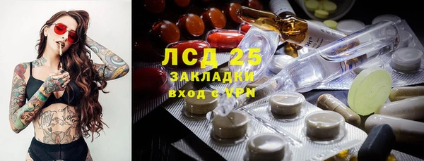 ПСИЛОЦИБИНОВЫЕ ГРИБЫ Горнозаводск