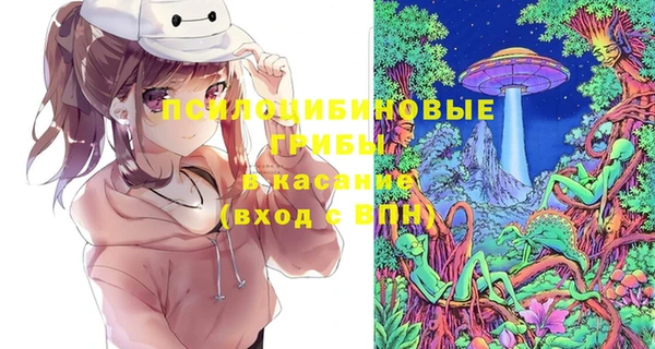 бошки Горняк