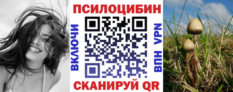 Псилоцибиновые грибы Psilocybe  магазин продажи   Мценск 