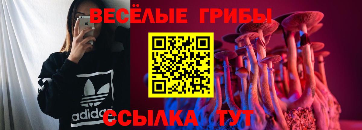 Псилоцибиновые грибы ЛСД  Вход с VPN  Галлюциногенные грибы Cubensis  Мценск 